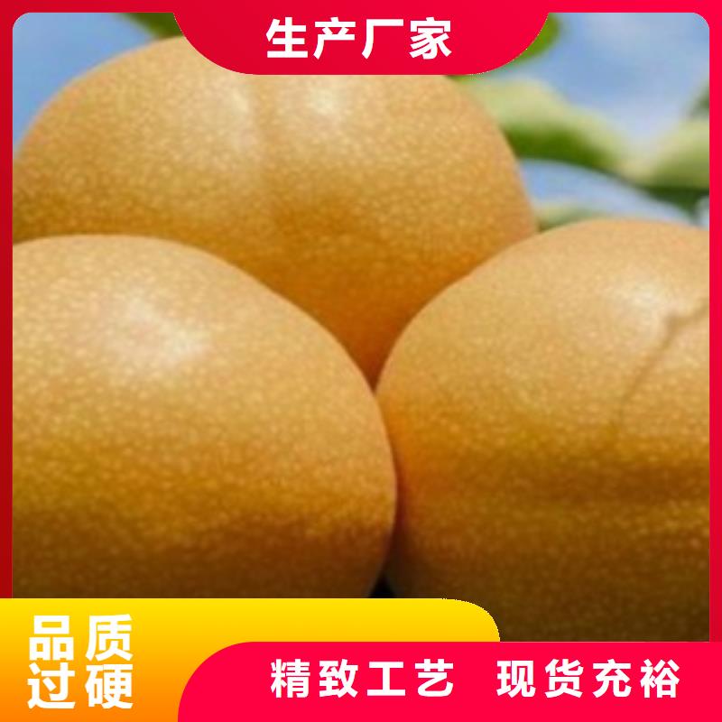 ​3厘米出售同城品牌