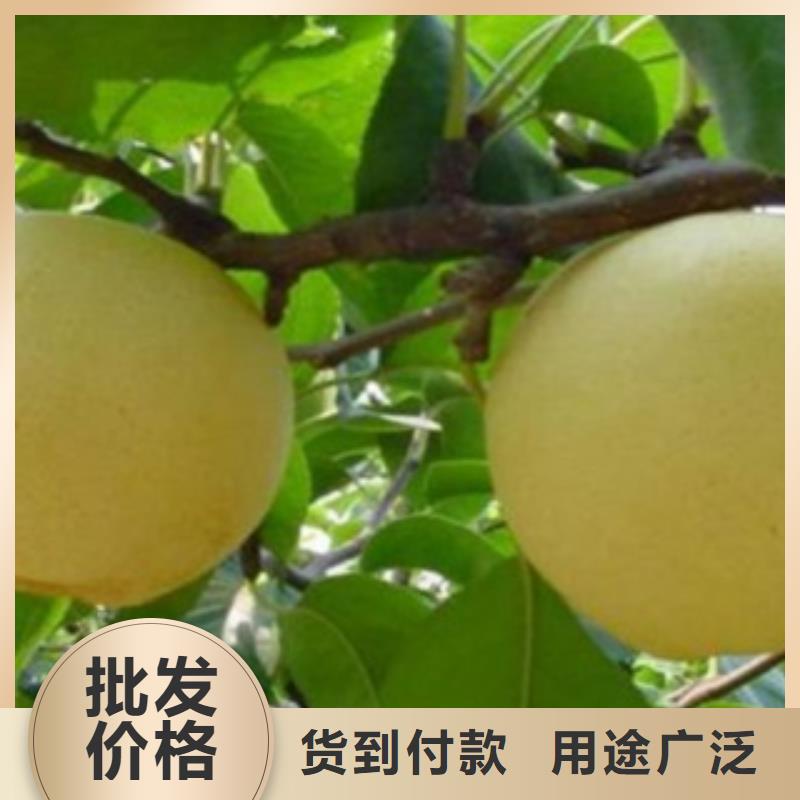 1公分哪里有卖的现货
