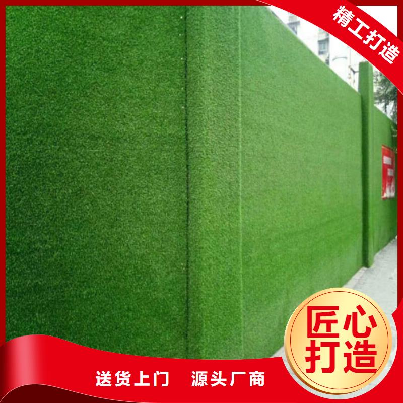 镇康县施工围挡草皮销售基地打造好品质