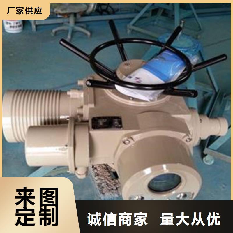 启闭机-双吊点手电两用启闭机价位是多少本地货源