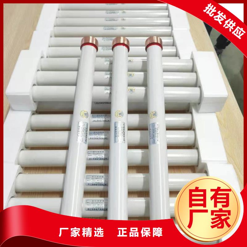 保护电压互感器用高压限流熔断器XRNP1-12/2A同城生产厂家