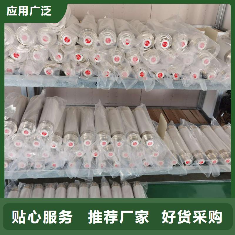 变压器保护用高压限流熔断器XRNT1-7.2KV/6.3A厂家直销品类齐全