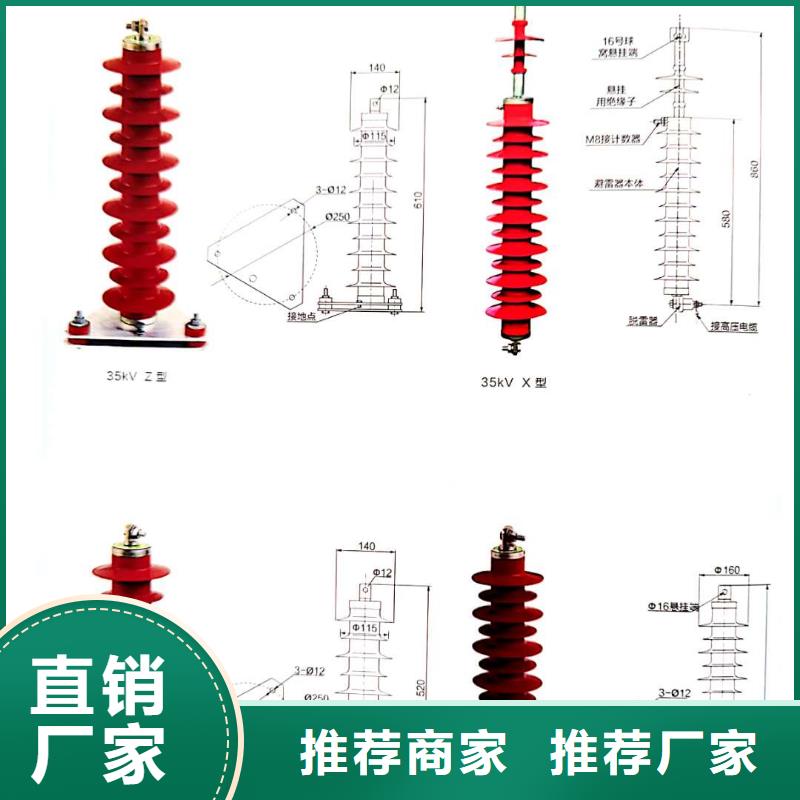 肘型避雷器规格齐全BLQ-17/50品质之选