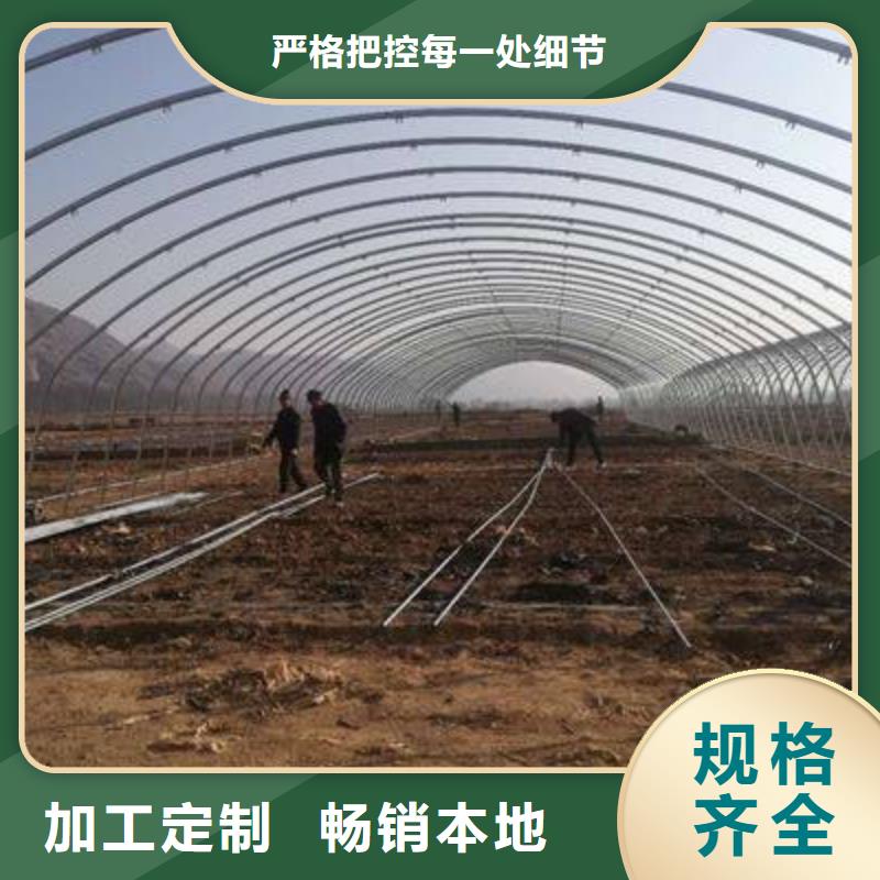 文登区草莓西藏连栋薄膜温室大棚诚信可靠