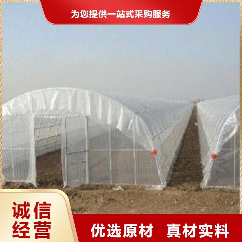 荣成市连体大棚热镀锌钢管优惠多多本地公司