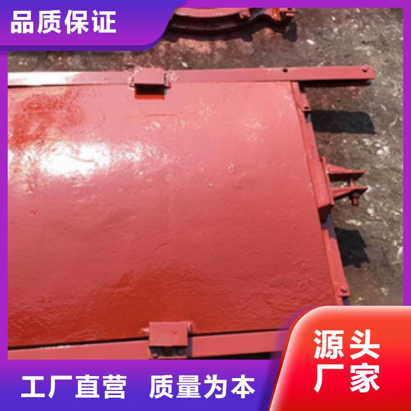 铸铁闸门简单当地生产商