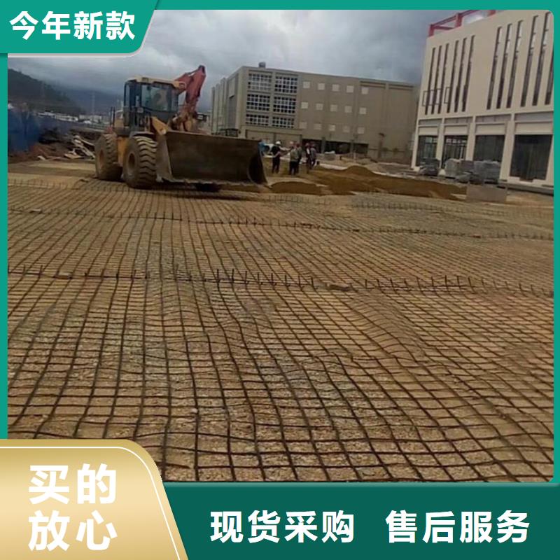 东方市钢塑土工格栅|钢塑格栅|玻纤土工格栅|玻纤格栅|土工布.2025新款钢塑土工格栅厂家直销_质量保证商家直供