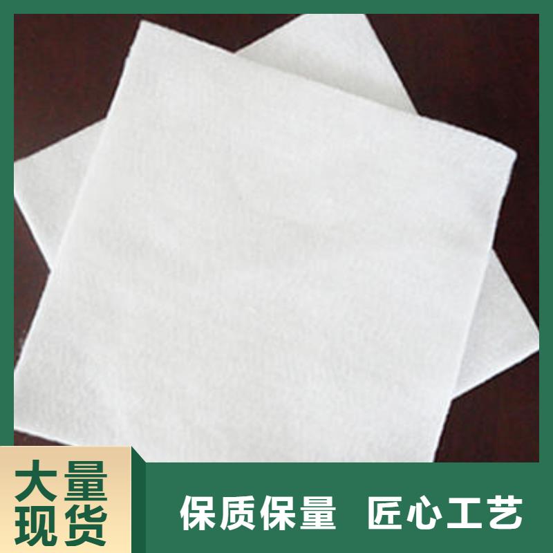 土工膜-土工布-HDPE土工膜-防渗膜厂家本地生产厂家