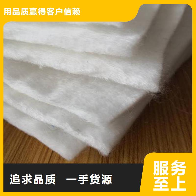 黑色#土工布白色#土工布认准大品牌厂家