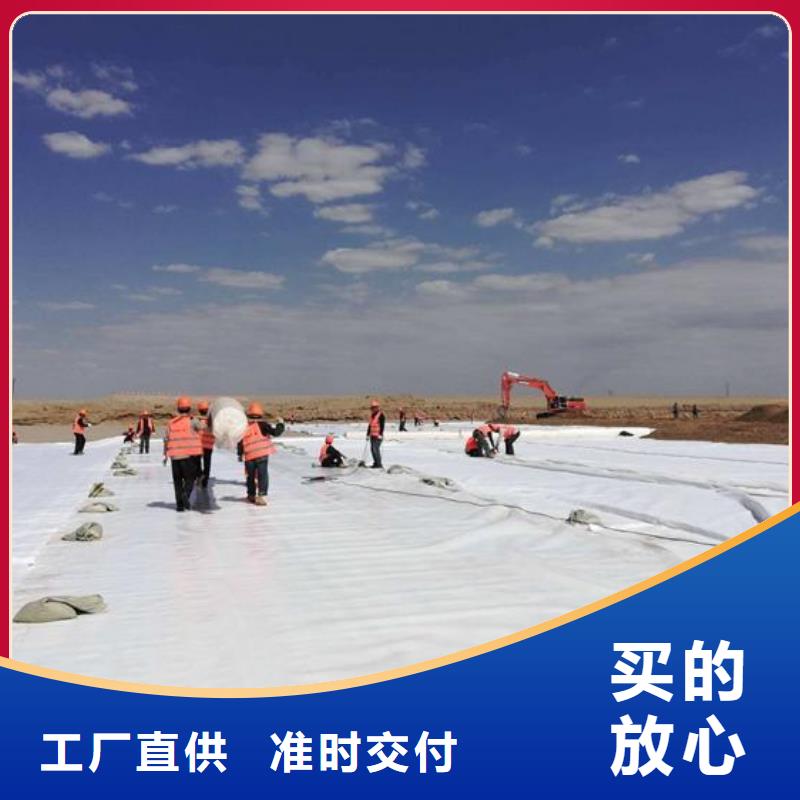 土工布土工膜土工格栅厂家直销现货专业生产团队