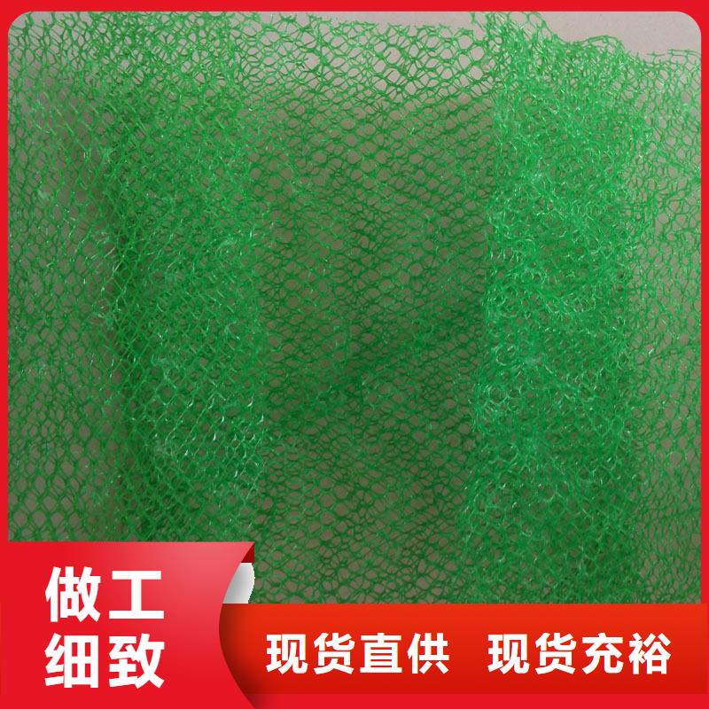 三维植被网施工工艺当地品牌