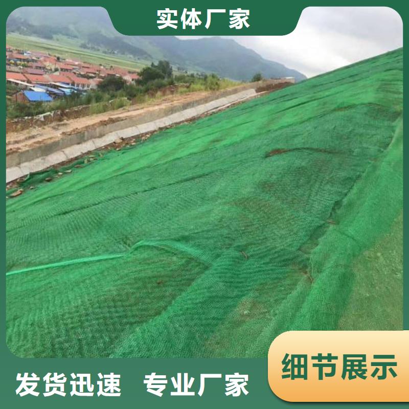 乐东县三维植被网施工工艺现货充裕