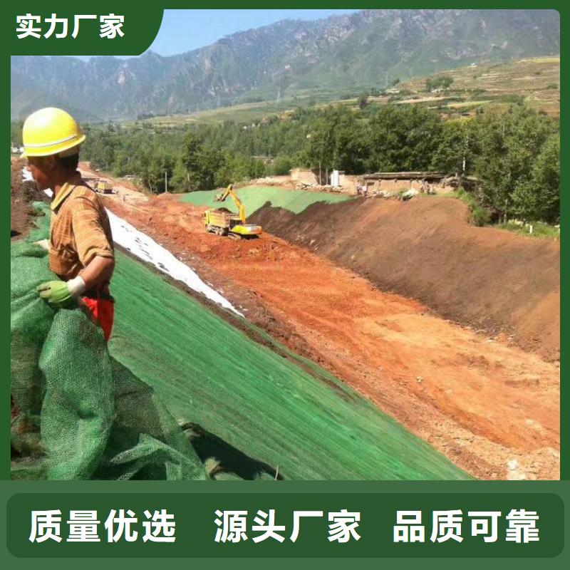 专业植草三维植被网_厂家直销_植草三维植被网_优质供货当地生产厂家