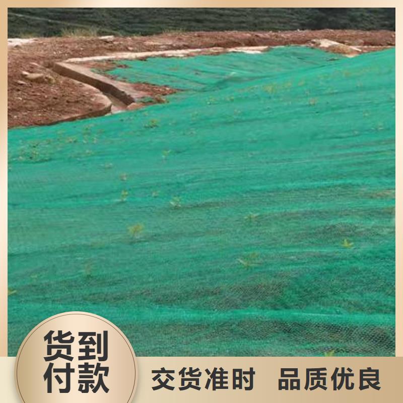 三维植被网-三维植被网厂家-三维植被网价格N年大品牌
