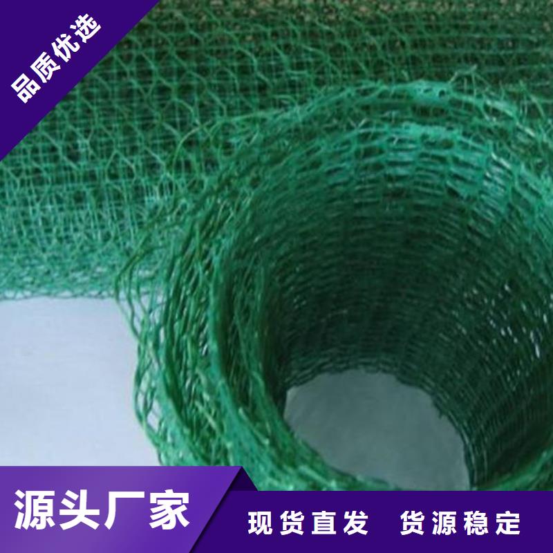 三维植被网-三维植被网厂家-三维植被网价格性价比高