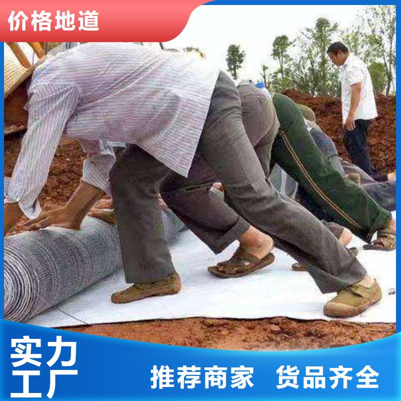 白沙县膨润土防水毯的防水性能追求品质