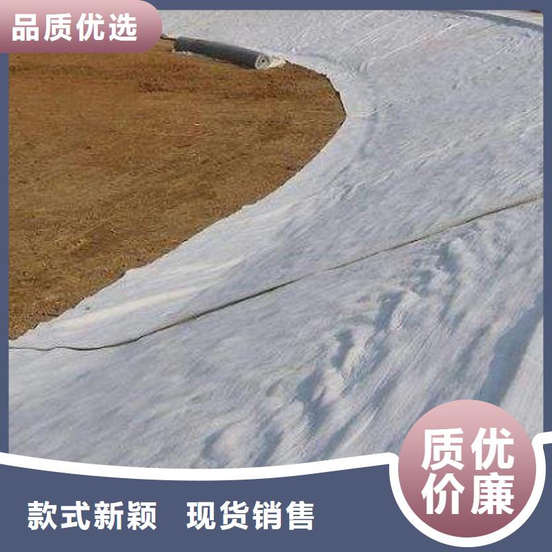 土工膜_土工布_复合排水板_HDPE防渗膜_膨润土防水毯-山东亿路通本地公司