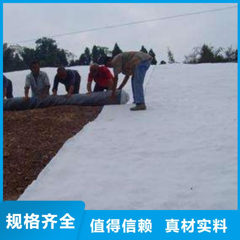 膨润土防水毯厂家直销当地生产厂家