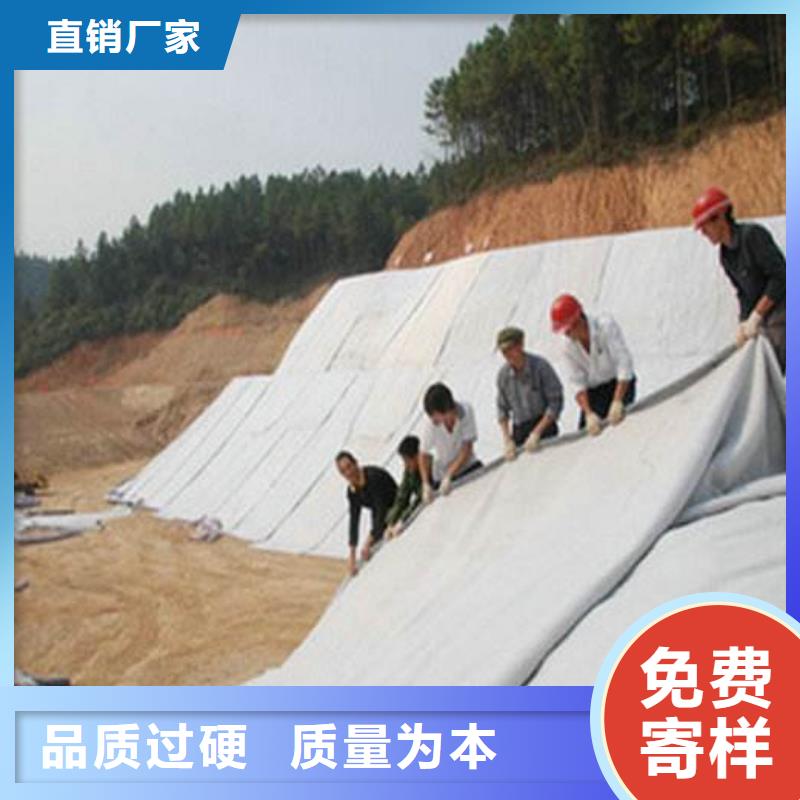 膨润土防水毯生产基地现货发售同城生产厂家