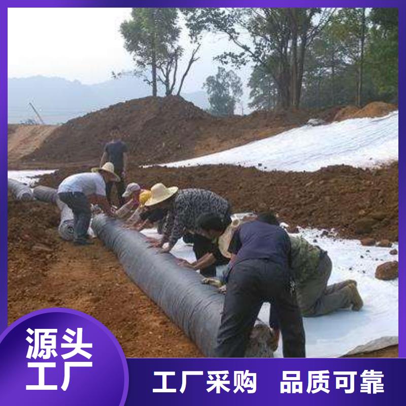 新闻资讯_膨润土防水毯拒绝差价