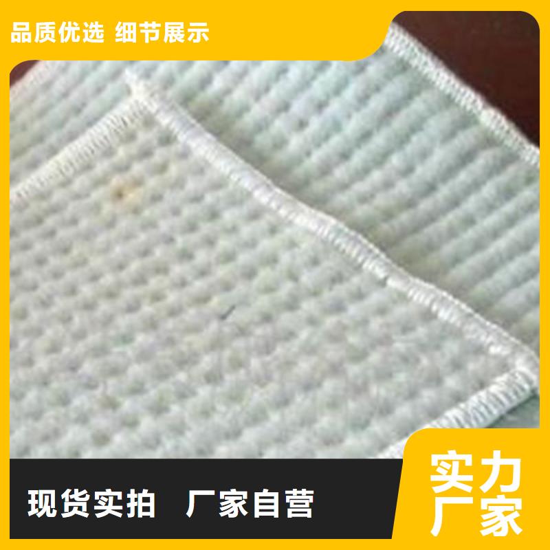 文昌市膨润土防水毯_土工布材料_复合膜排水网本地服务商