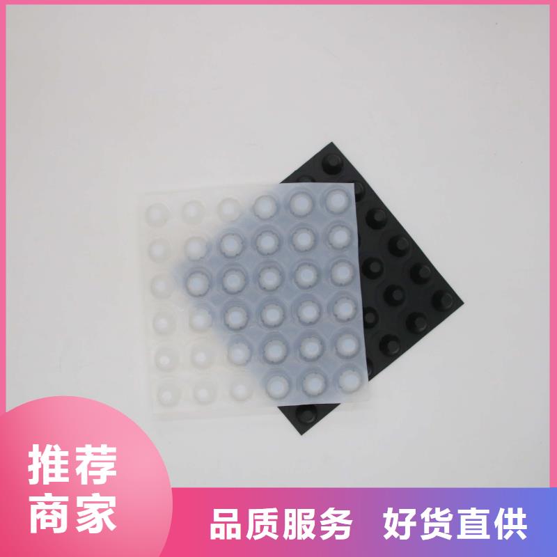 塑料排水板—软基处理_塑料排水板价格_塑料排水带当地生产商