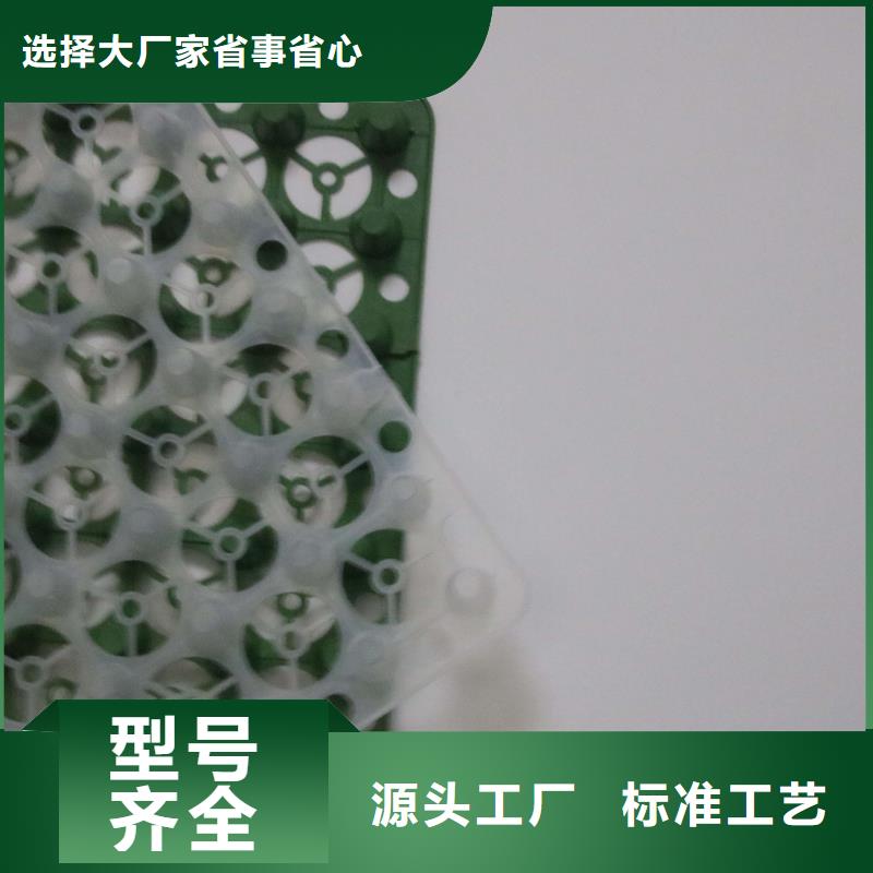 塑料排水板,塑料排水带,塑料排水板厂家,塑料排水带厂家,软式透水管当地品牌