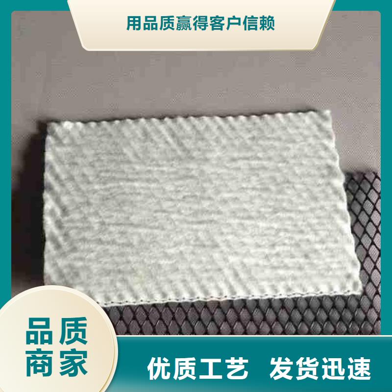 三维复合排水网简介及施工方案厂家拥有先进的设备