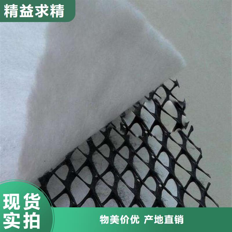 三维复合排水网多少钱-厂家直销-价格优惠-货源充足发现货】厂家技术完善