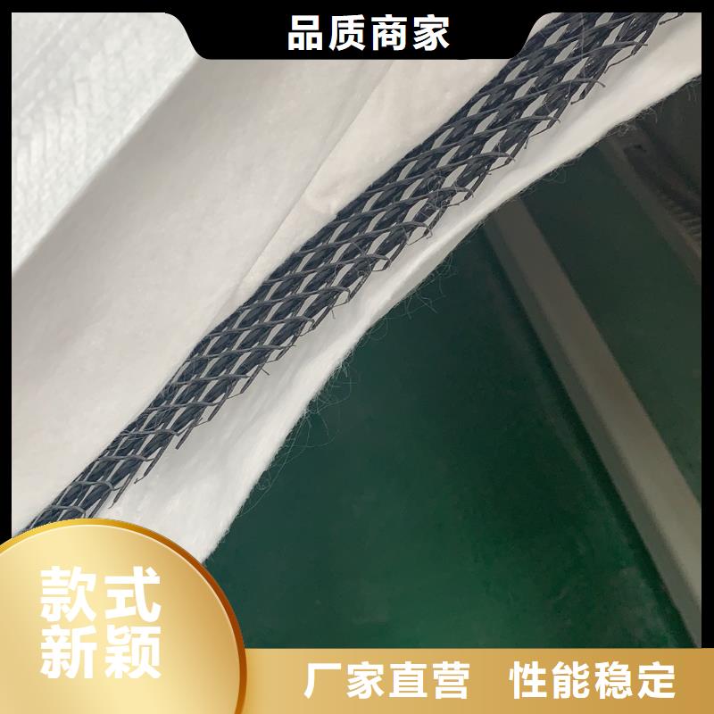 三维复合排水网型号齐全-发现货-生产厂家】现货快速采购