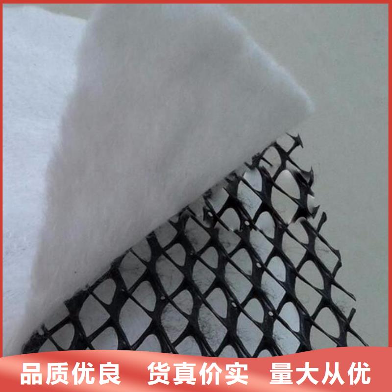 三维复合排水网型号齐全-发现货-生产厂家】本地公司