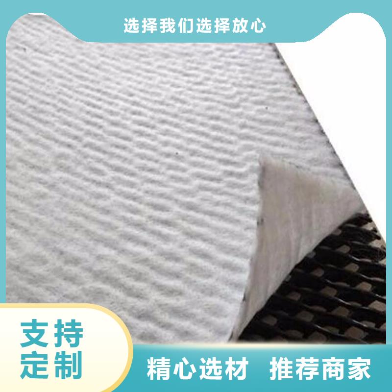 三维复合排水网_塑料排水板价格_蓄排水板厂家当地公司