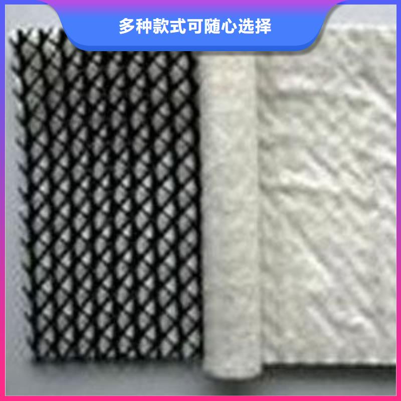 三维复合排水网系列-亿路通本地生产商