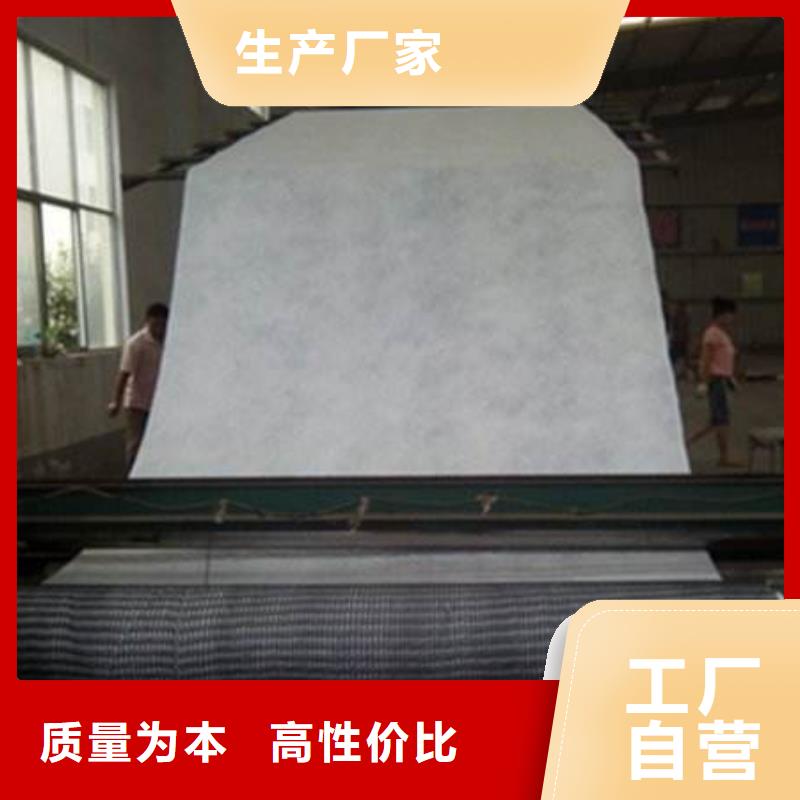 文昌市2025三维复合排水网-质优价廉-货源充足-生产厂家当地服务商