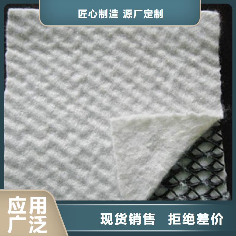 三维复合排水网多少钱一平方_三维复合排水网厂家价格直销当地公司