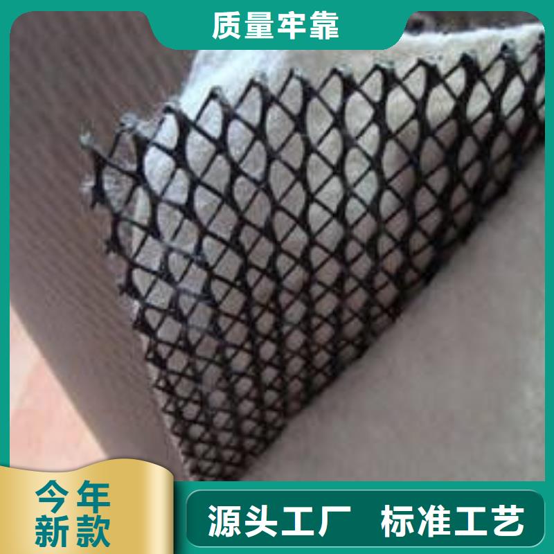 三维复合排水网生产厂家】同城生产商