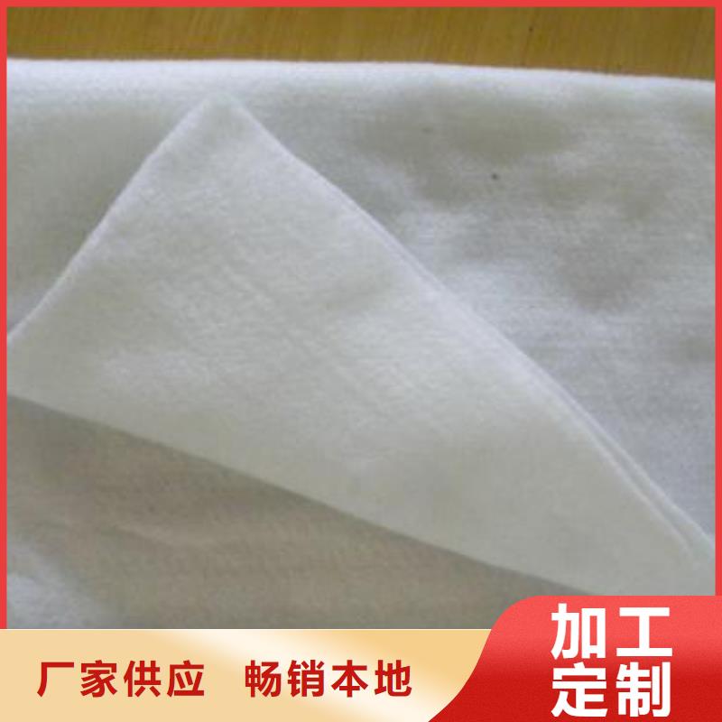 护坡加筋土工布价格/2025年报价精心选材