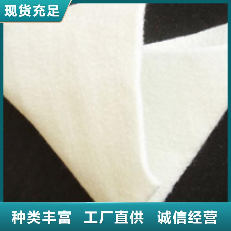黑色土工布生产厂家哪家好专业生产厂家
