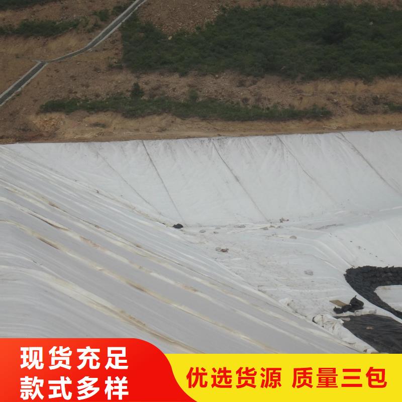 护坡加筋土工布生产基地/欢迎实地考察现货销售