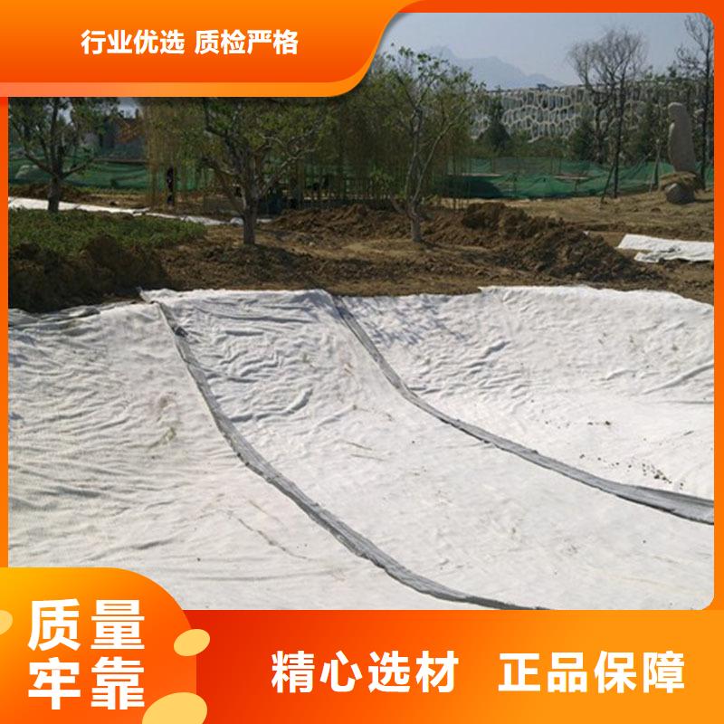 隧道膨润土防水毯价格&2025报价源头实体厂商