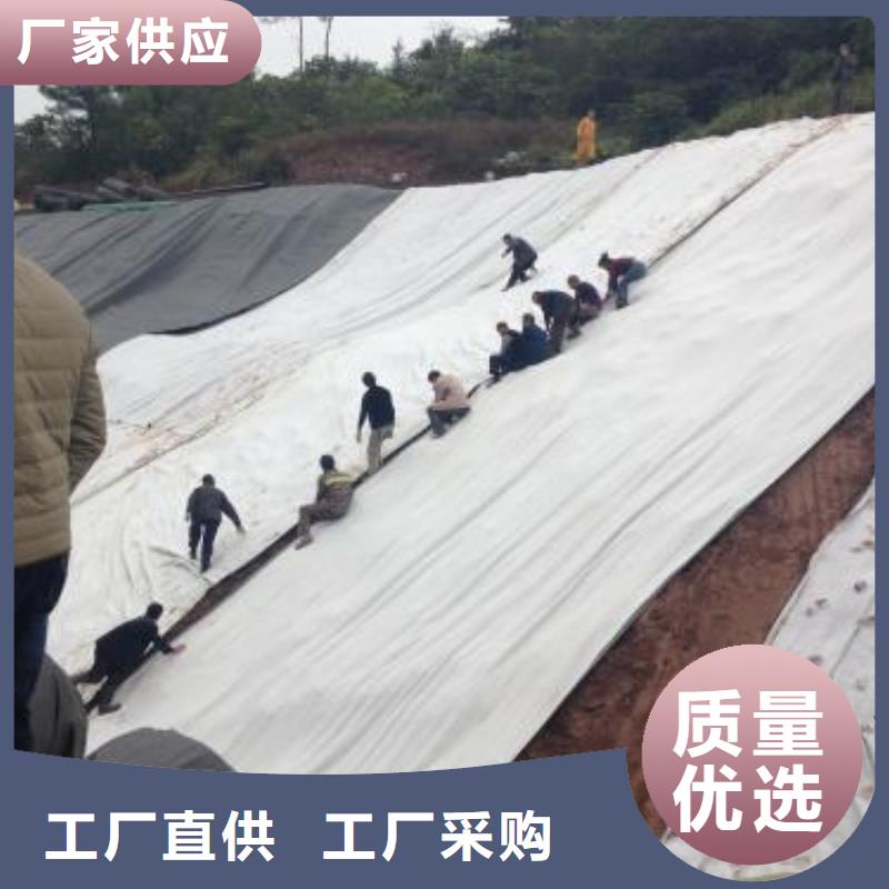 2025钠基膨润土防水毯规格齐全-可定制老品牌厂家