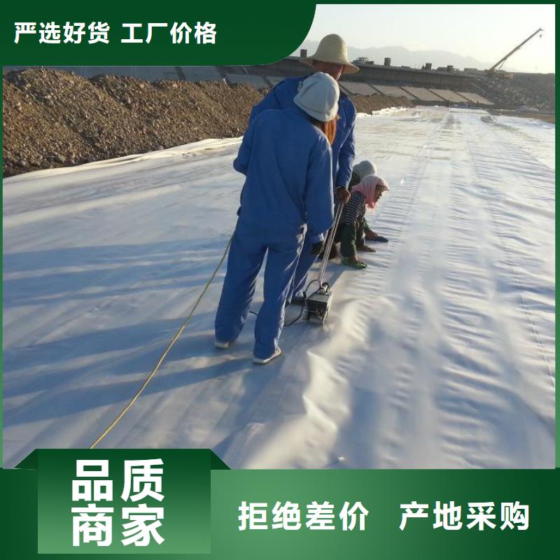 柱点糙面土工膜哪家生产厂家好老客户钟爱