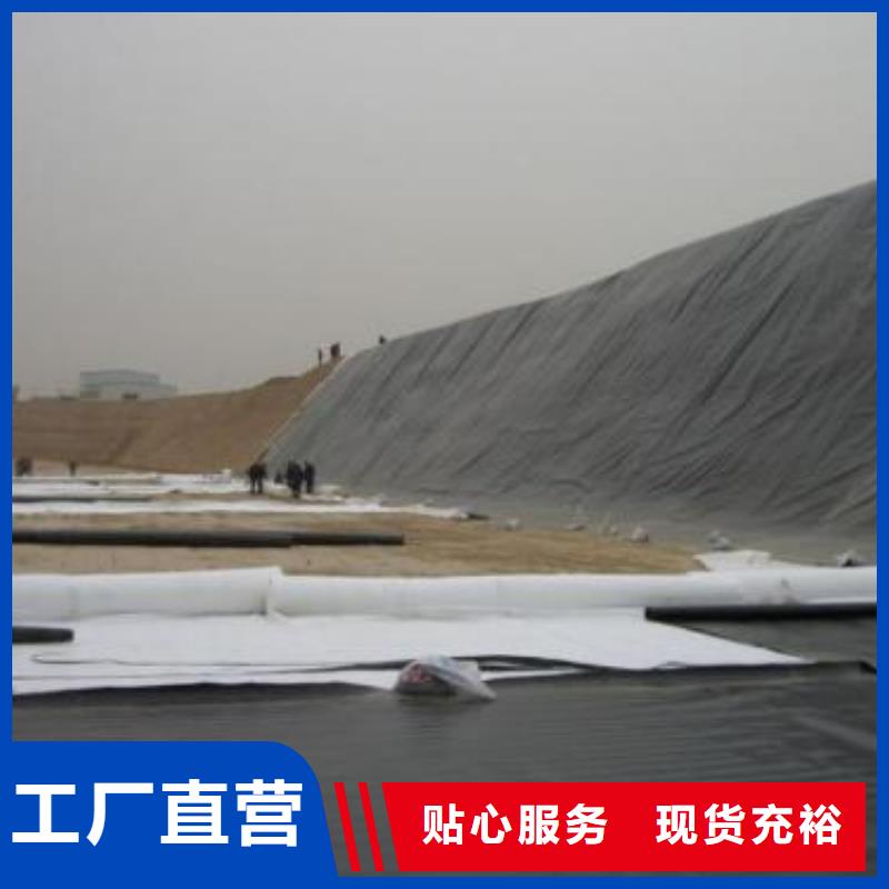 水利防渗膜实力厂家/现货供应客户信赖的厂家