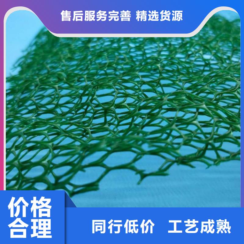 三维植被网垫实力厂家/现货供应同城公司
