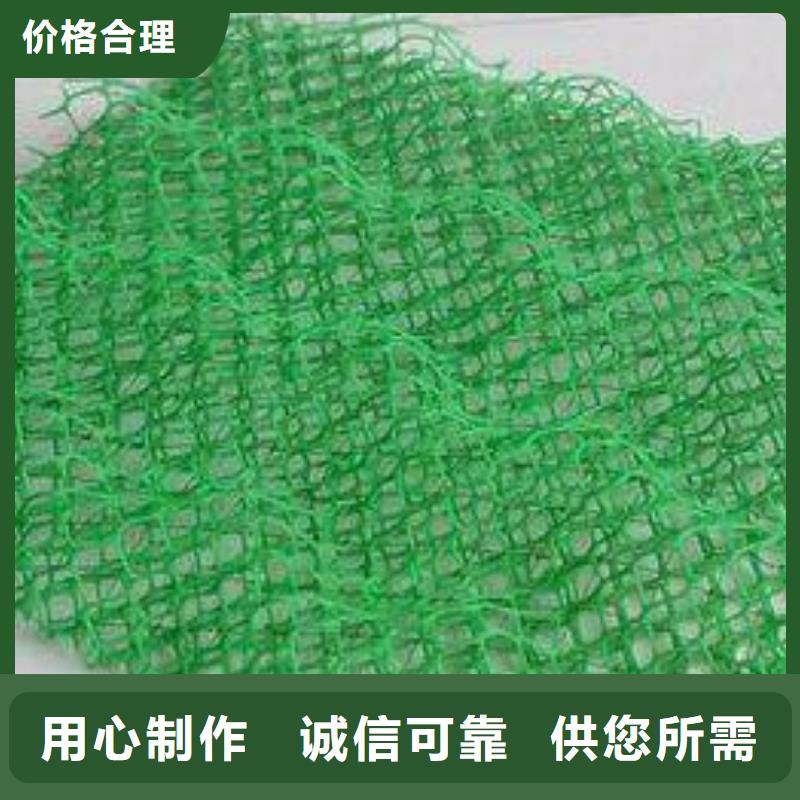 HDPE三维植被网生产厂家-质优价廉本地服务商