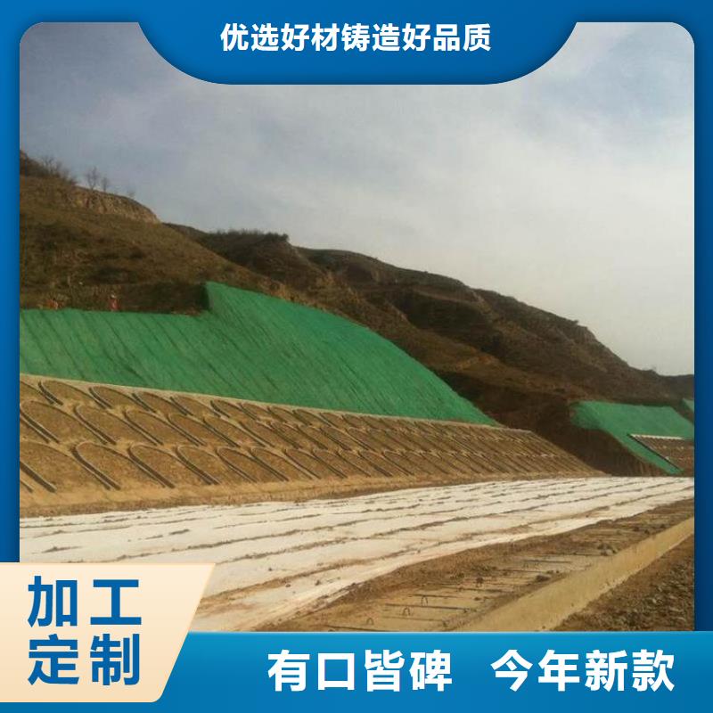 复合三维植被网本年度报价当地货源