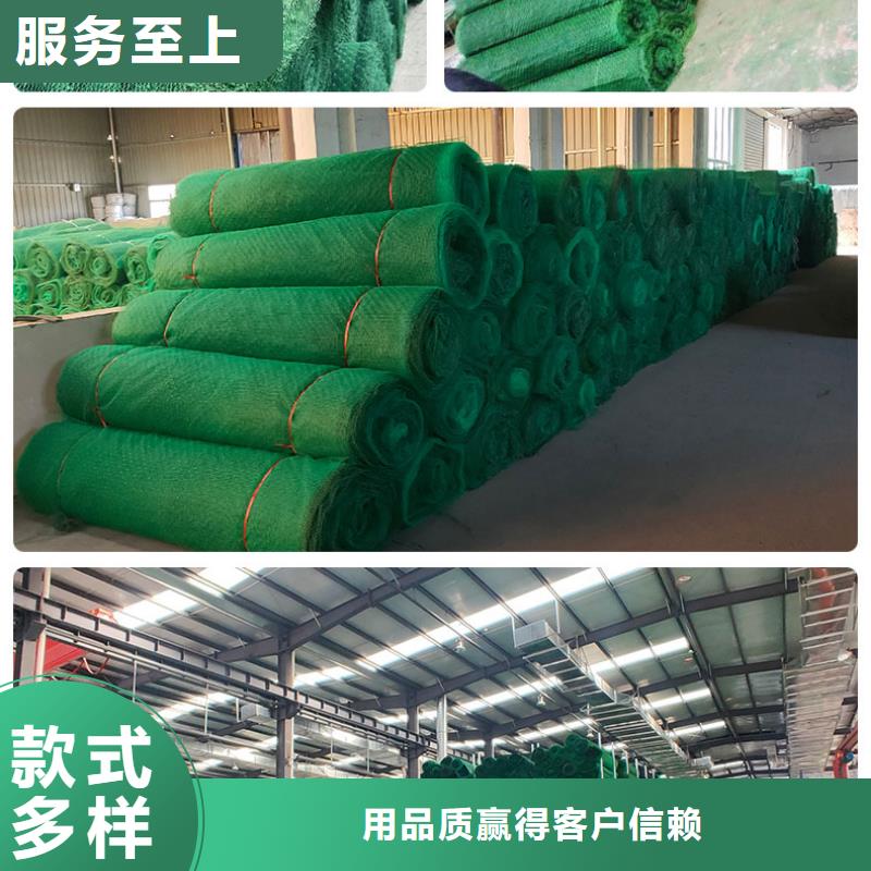 固土三维植被网实力厂家/现货供应免费询价