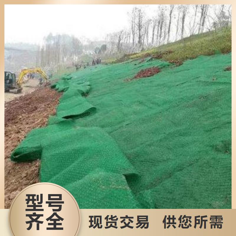 多规格三维植被网实力厂家/现货供应型号全价格低