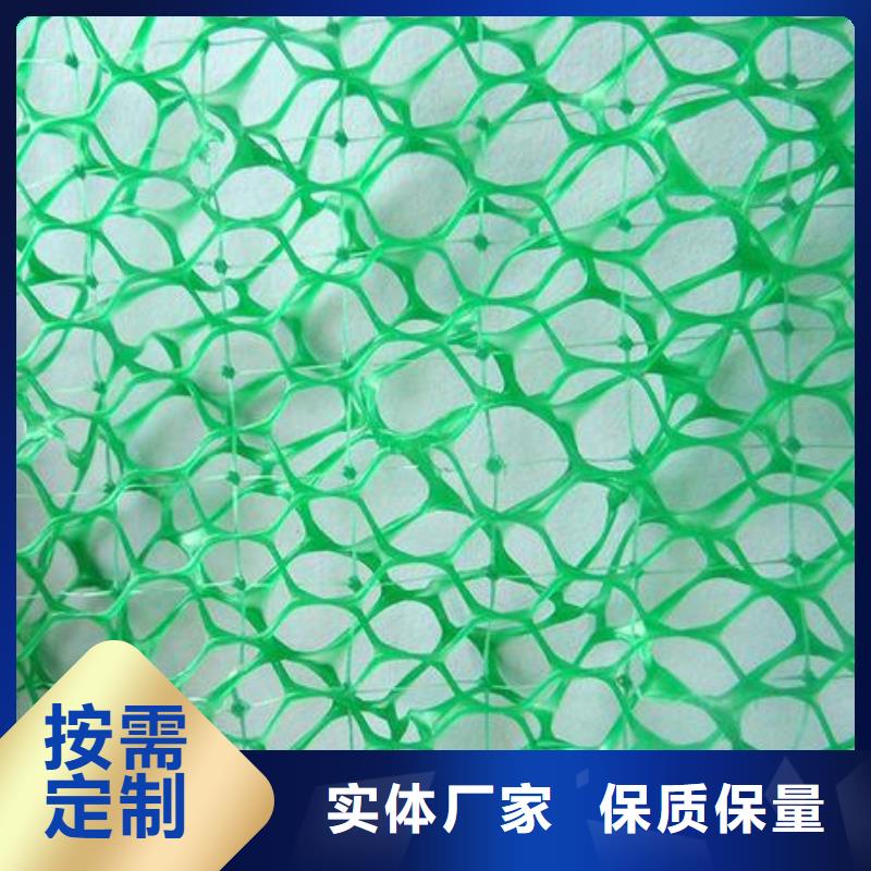 HDPE三维植被网价格/2025年报价就近发货
