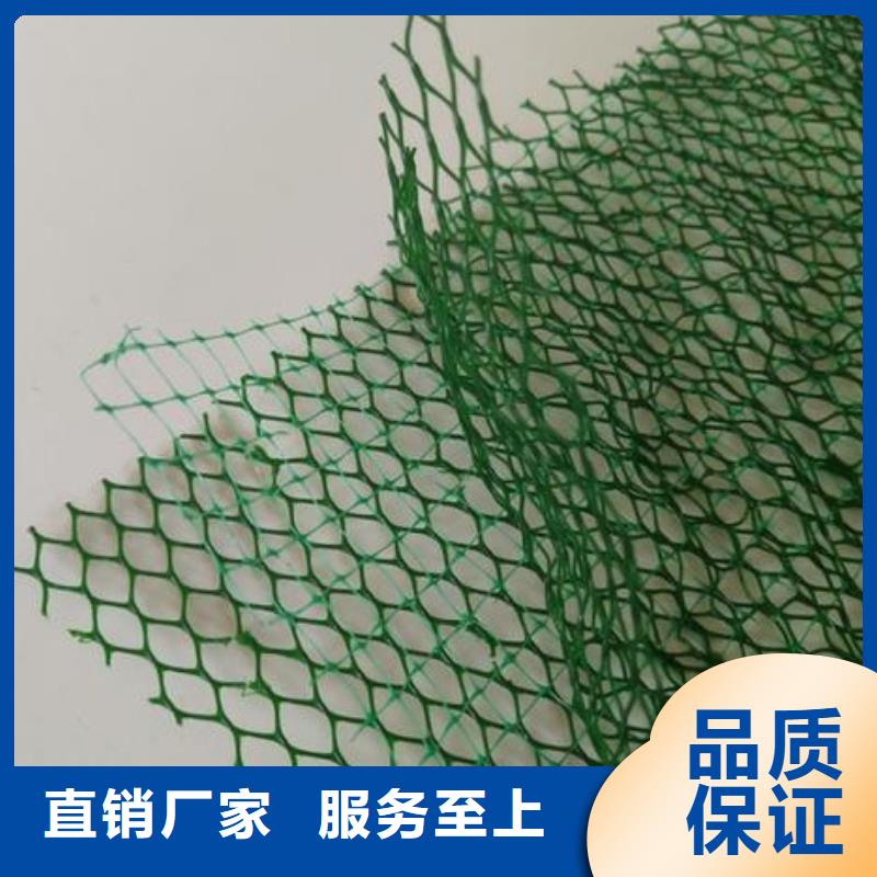 EM5三维植被网绿化植被网型号齐全-可定制加工N年专注
